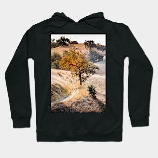 California Savanna Oak Trail Hoodie